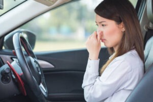 Read more about the article How To Get Rid Of Mildew Smell In Car?